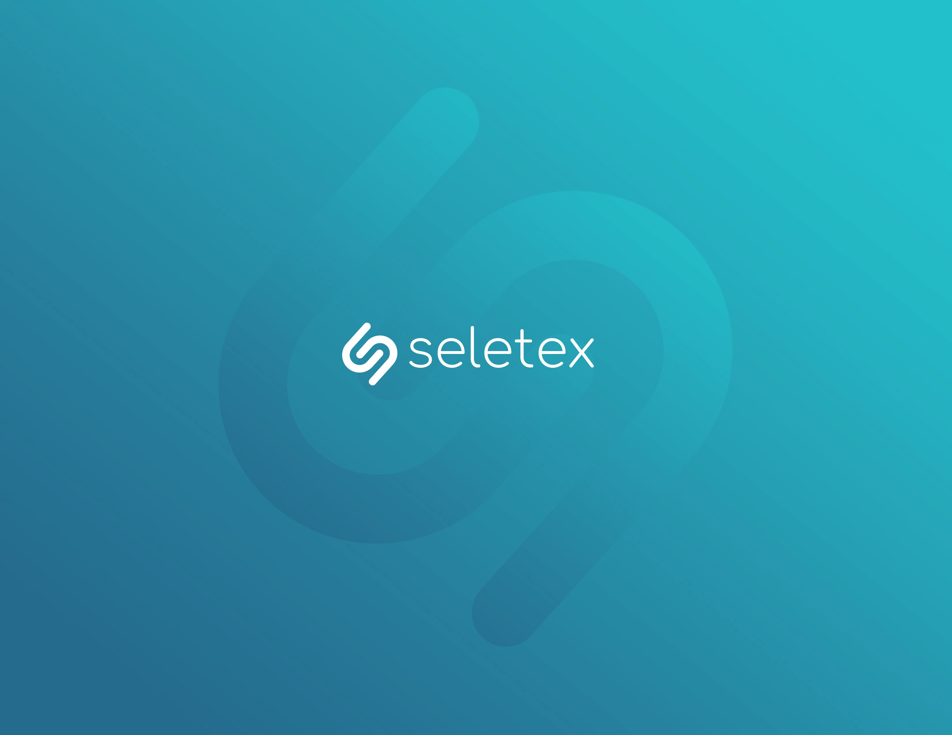 Seletex Brand Book